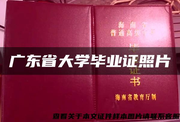 广东省大学毕业证照片