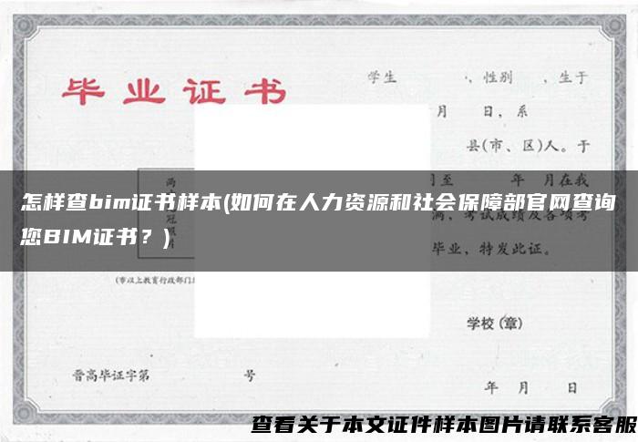 怎样查bim证书样本(如何在人力资源和社会保障部官网查询您BIM证书？)