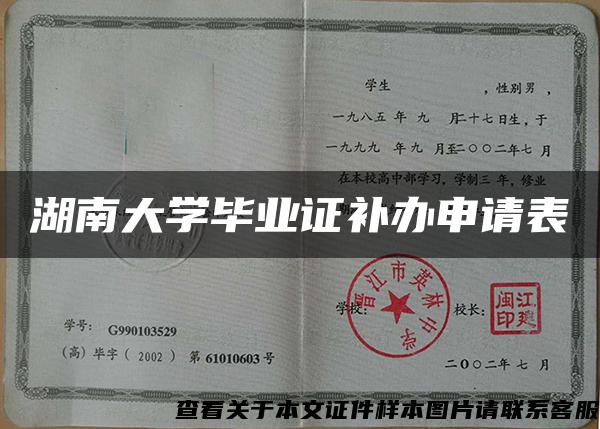 湖南大学毕业证补办申请表