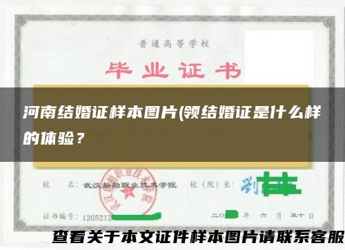 河南结婚证样本图片(领结婚证是什么样的体验？