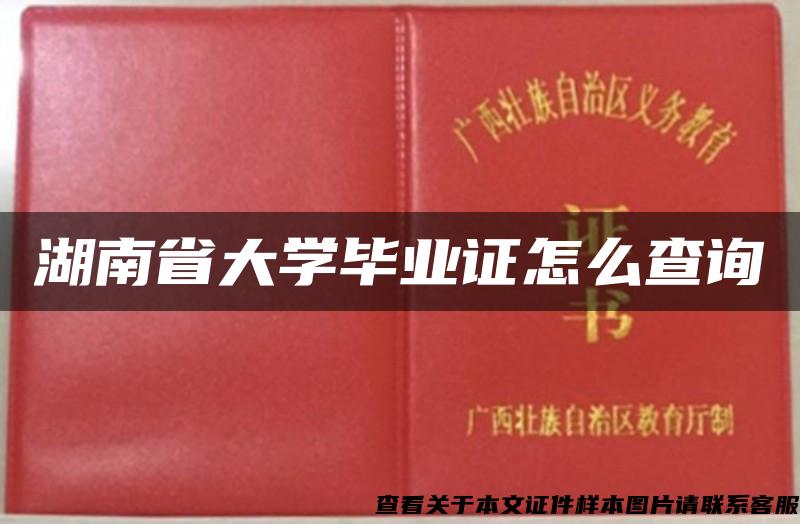 湖南省大学毕业证怎么查询