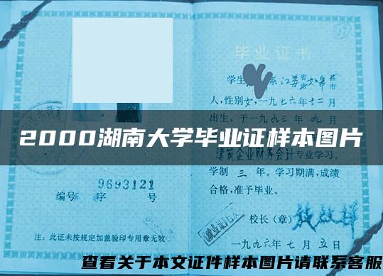 2000湖南大学毕业证样本图片