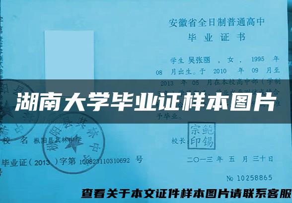 湖南大学毕业证样本图片