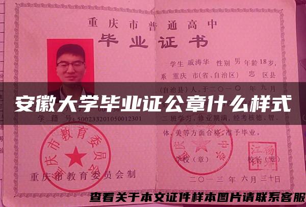 安徽大学毕业证公章什么样式