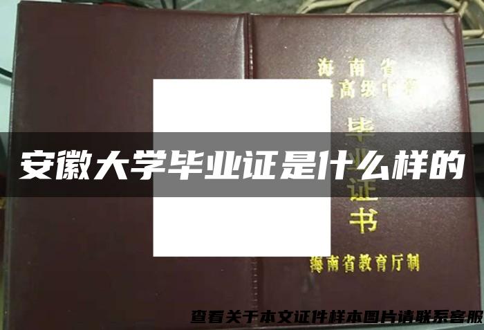 安徽大学毕业证是什么样的