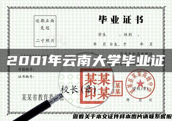 2001年云南大学毕业证