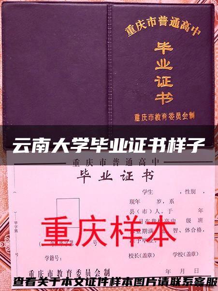 云南大学毕业证书样子