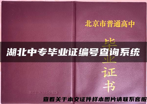 湖北中专毕业证编号查询系统