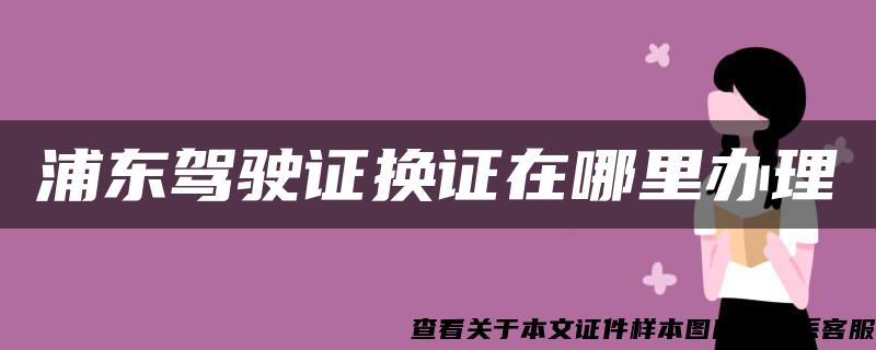 浦东驾驶证换证在哪里办理