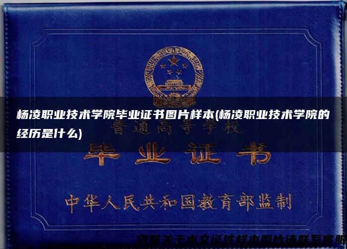 杨凌职业技术学院毕业证书图片样本(杨凌职业技术学院的经历是什么)