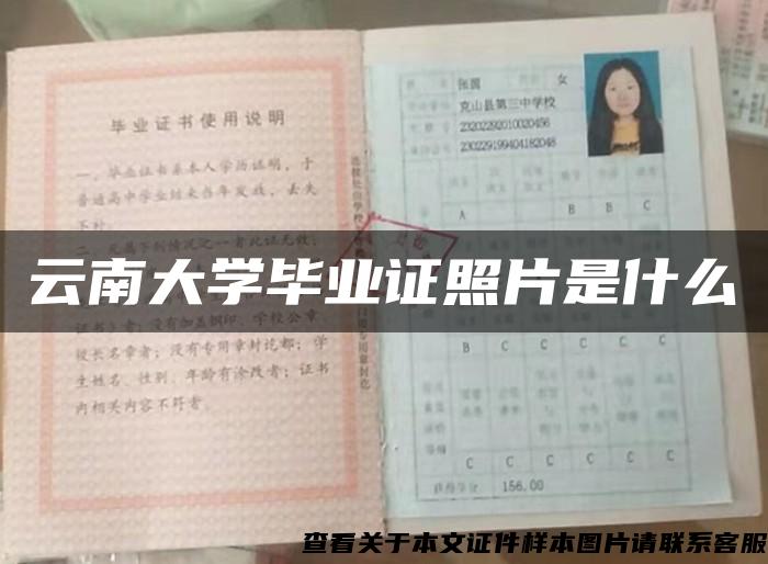 云南大学毕业证照片是什么