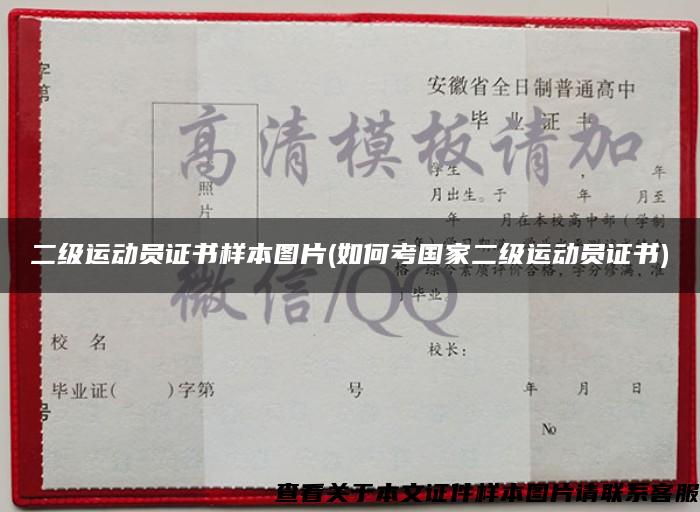 二级运动员证书样本图片(如何考国家二级运动员证书)