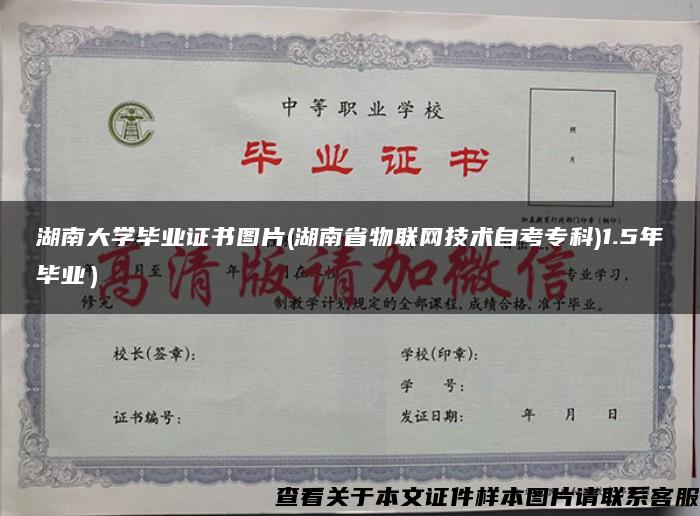 湖南大学毕业证书图片(湖南省物联网技术自考专科)1.5年毕业）