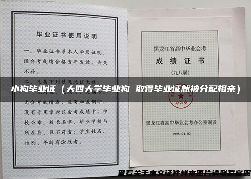 小狗毕业证（大四大学毕业狗 取得毕业证就被分配相亲）