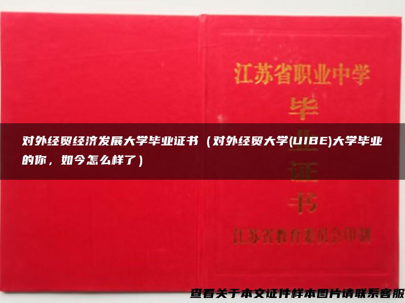 对外经贸经济发展大学毕业证书（对外经贸大学(UIBE)大学毕业的你，如今怎么样了）