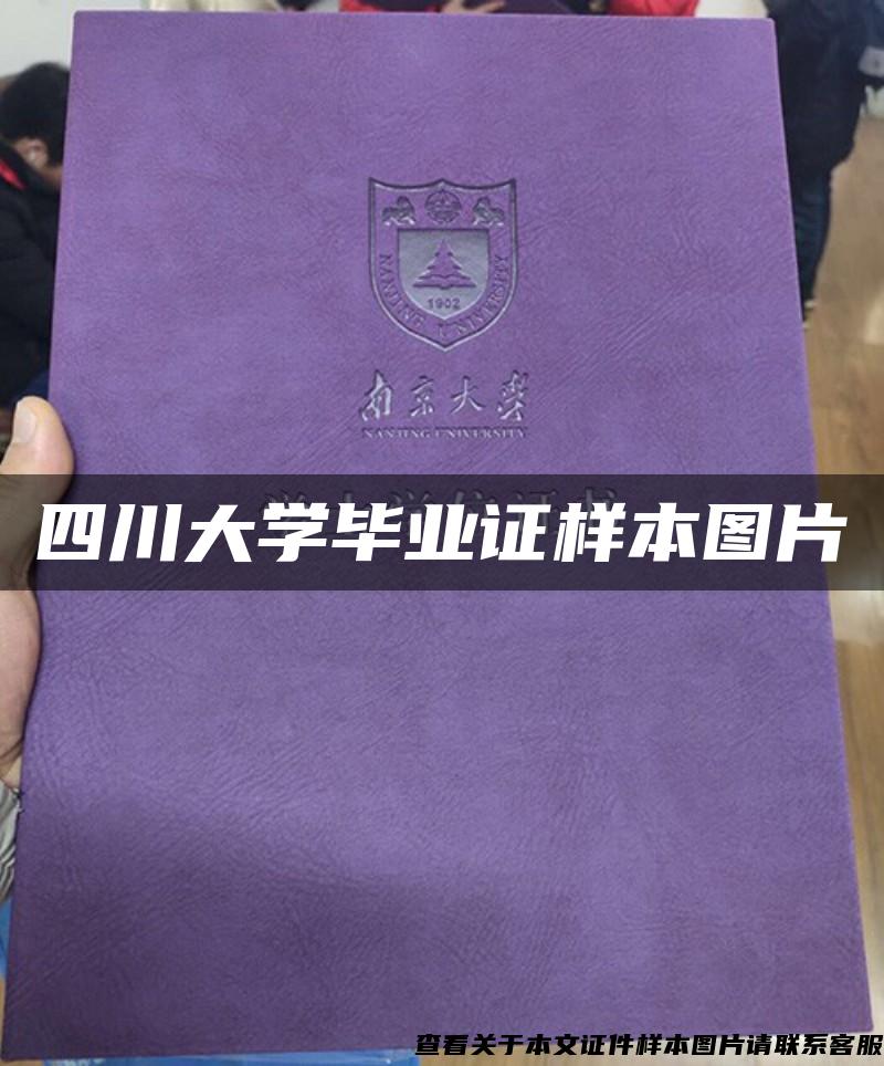 四川大学毕业证样本图片