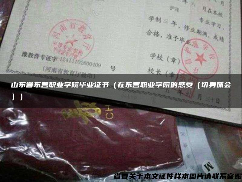 山东省东营职业学院毕业证书（在东营职业学院的感受（切身体会））