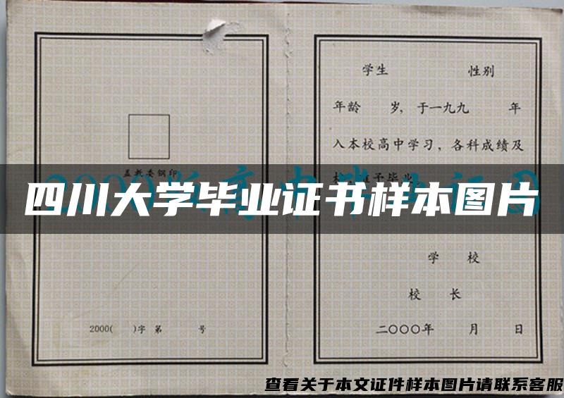 四川大学毕业证书样本图片