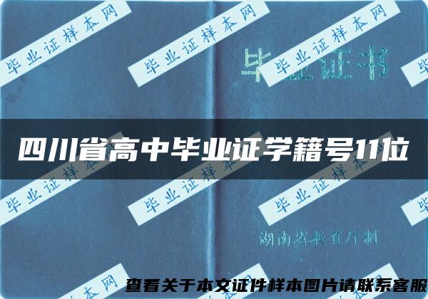 四川省高中毕业证学籍号11位