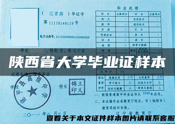 陕西省大学毕业证样本