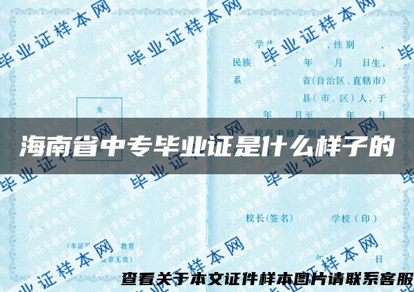 海南省中专毕业证是什么样子的