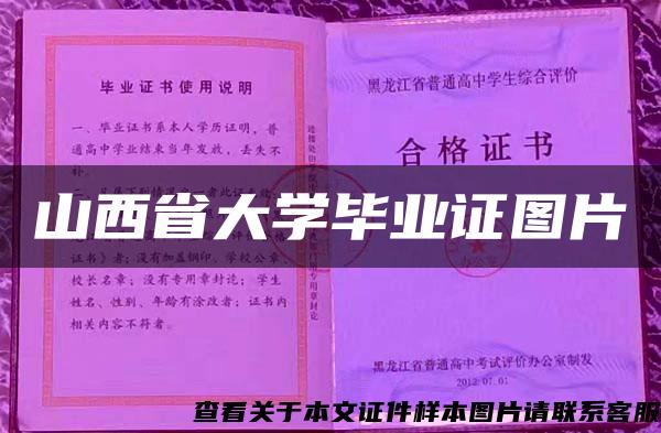 山西省大学毕业证图片