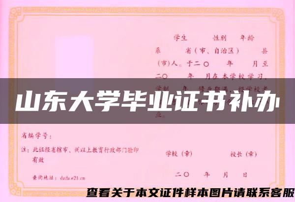 山东大学毕业证书补办