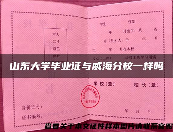 山东大学毕业证与威海分校一样吗