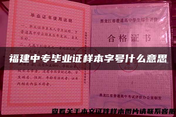 福建中专毕业证样本字号什么意思