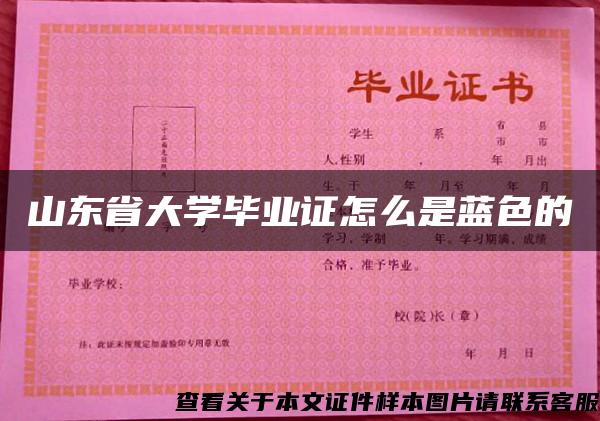 山东省大学毕业证怎么是蓝色的