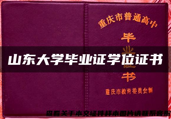 山东大学毕业证学位证书