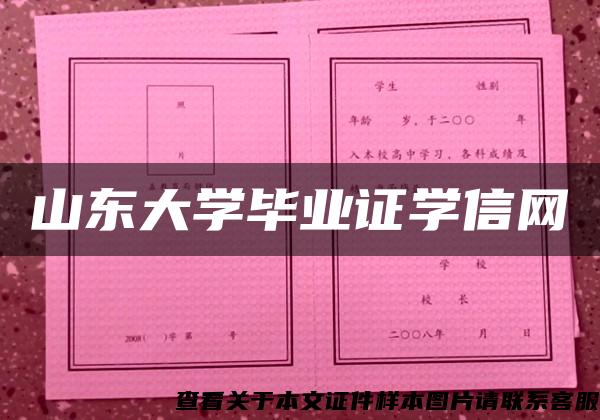 山东大学毕业证学信网