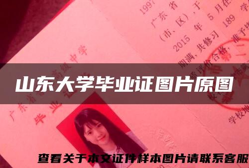 山东大学毕业证图片原图