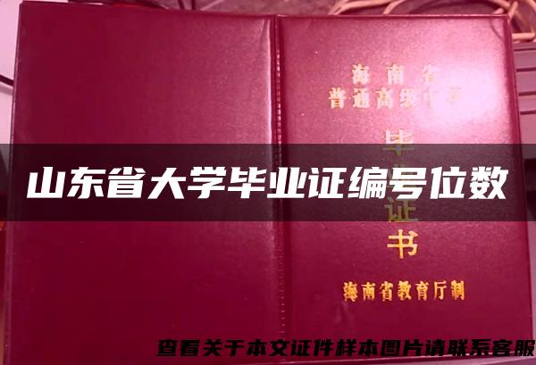 山东省大学毕业证编号位数