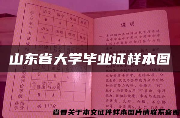 山东省大学毕业证样本图