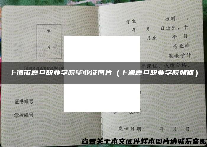 上海市震旦职业学院毕业证图片（上海震旦职业学院如何）