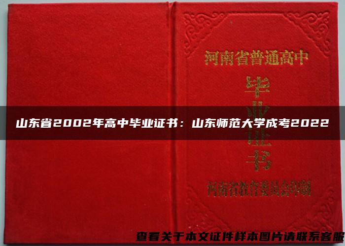 山东省2002年高中毕业证书：山东师范大学成考2022