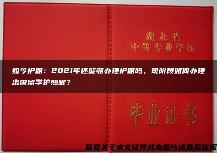 如今护照：2021年还能够办理护照吗，现阶段如何办理出国留学护照呢？