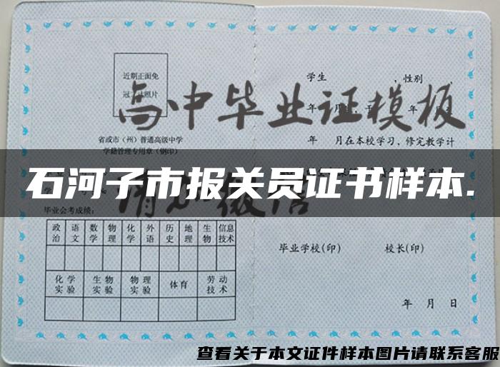 石河子市报关员证书样本.