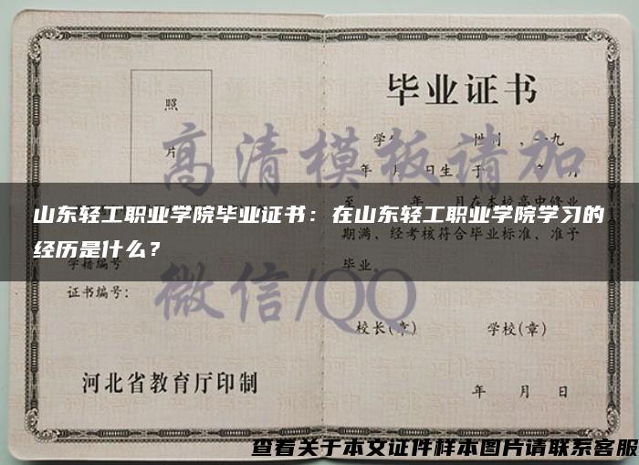 山东轻工职业学院毕业证书：在山东轻工职业学院学习的经历是什么？