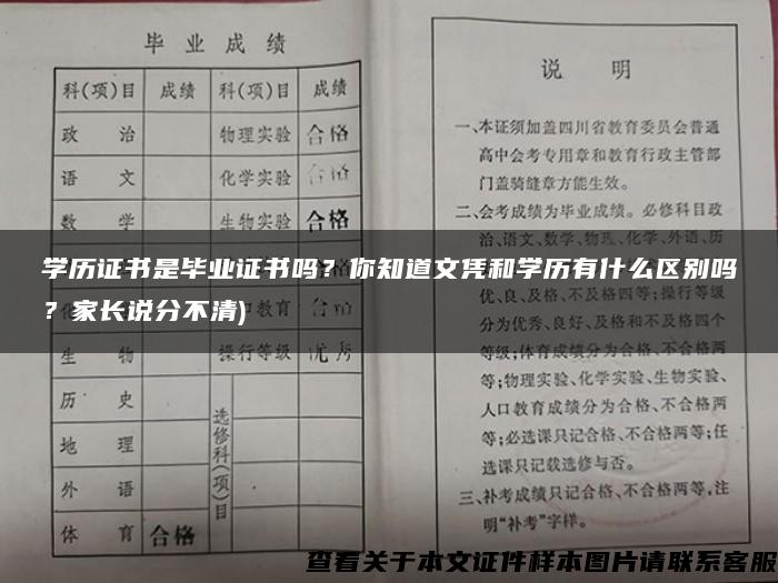 学历证书是毕业证书吗？你知道文凭和学历有什么区别吗？家长说分不清)