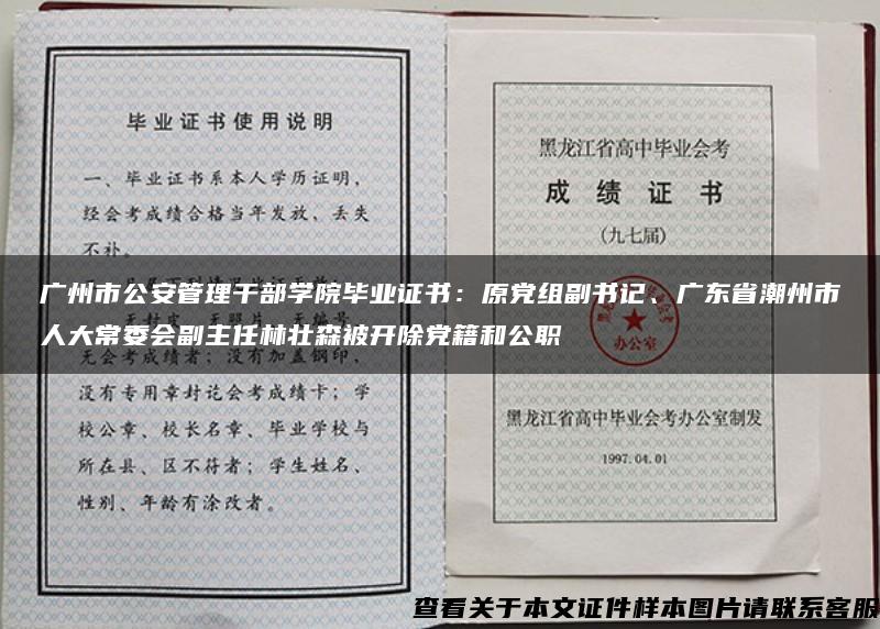 广州市公安管理干部学院毕业证书：原党组副书记、广东省潮州市人大常委会副主任林壮森被开除党籍和公职