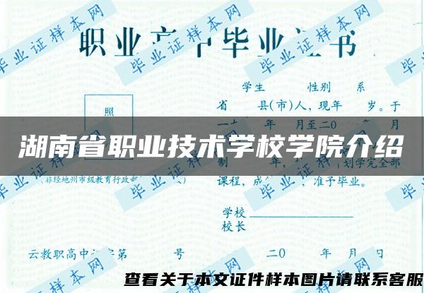 湖南省职业技术学校学院介绍