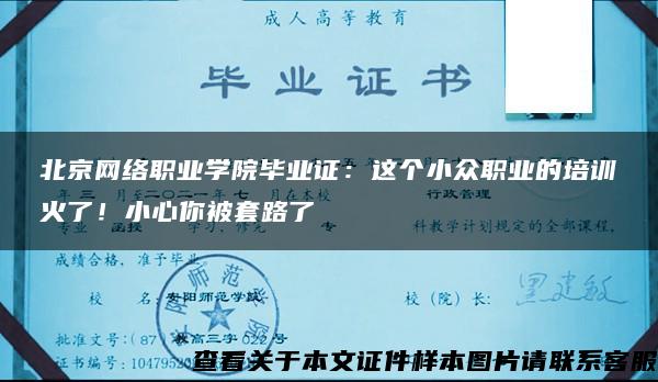 北京网络职业学院毕业证：这个小众职业的培训火了！小心你被套路了