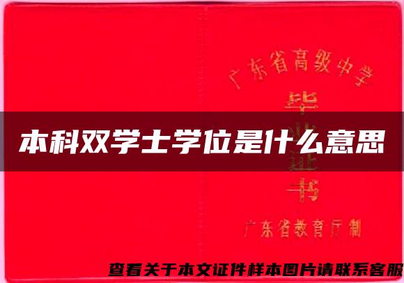 本科双学士学位是什么意思