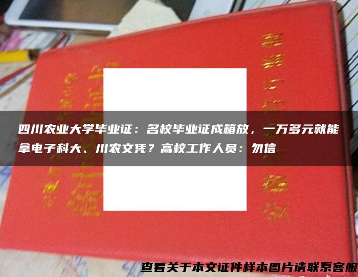 四川农业大学毕业证：名校毕业证成箱放，一万多元就能拿电子科大、川农文凭？高校工作人员：勿信