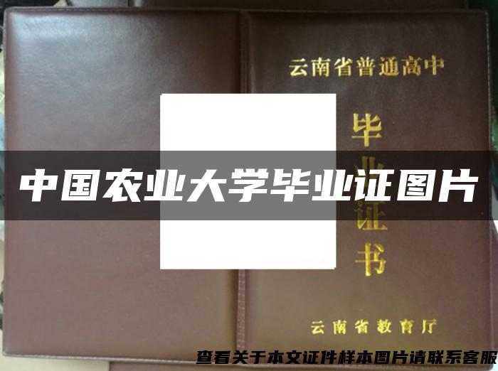 中国农业大学毕业证图片