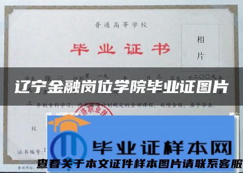 辽宁金融岗位学院毕业证图片