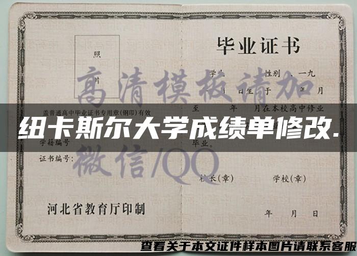 纽卡斯尔大学成绩单修改.