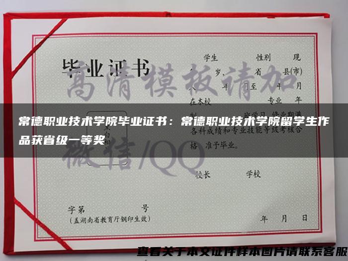 常德职业技术学院毕业证书：常德职业技术学院留学生作品获省级一等奖